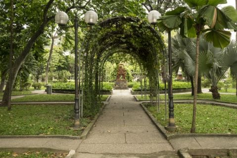 Ho Chi Minh Tao Dan Park Landscape Image